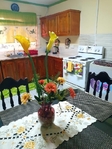 1 bdrm, 1 bthrm, - St Ann