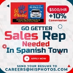A Go-Getter Sales Representative Needed